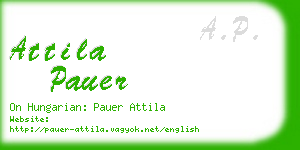 attila pauer business card